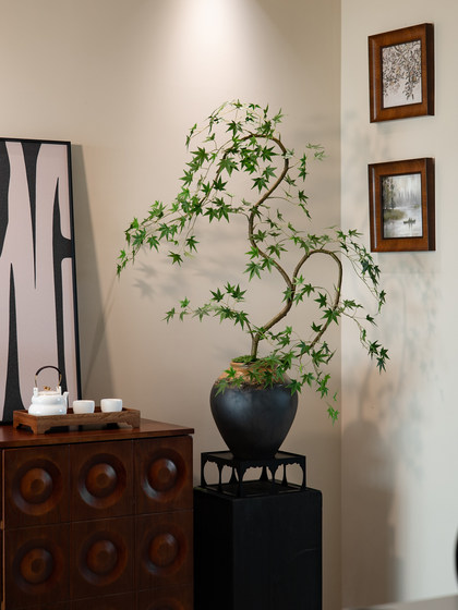 Flowing Spring Maple Artificial Green Plant Fake Flower Zen-Inspired New Song-Style Tea Room Decoration Entrance Ornament High-End Small Bonsai