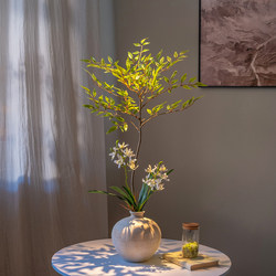 Haihong Scenery Simulated Green Plant Landscaping High-End Realistic Fake Plant Living Room Dining Table Tv Cabinet Nandina Bamboo Ornaments