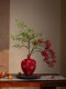 Artificial Green Plant with Fake Red Pomegranate Fruit in Ceramic Vase Decoration for Festive New Year in Living Room, Dining Room, or Entryway