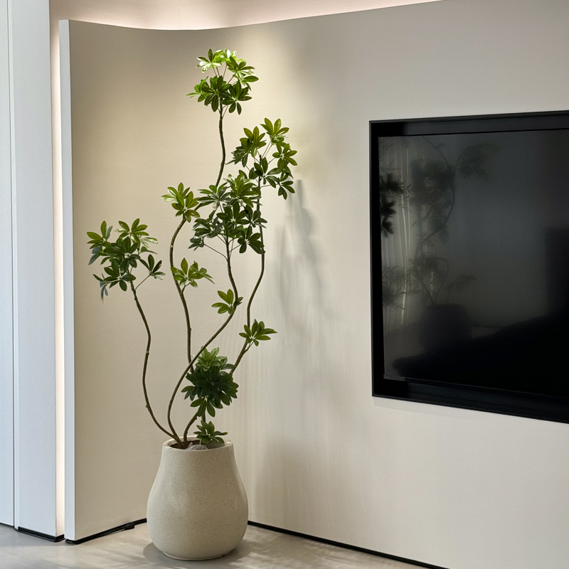 Sea Iridescent Duck Foot Wood Emulation Green Planting High-end Light Lavish Indoor Living Room Bionic Large Potted Plant Landing Fake Plant-Taobao