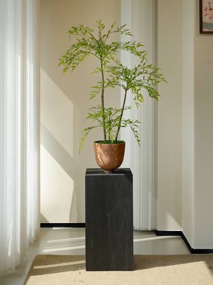 Nantian Bamboo Artificial Green Plant with a High-End Feel, New Song-Style Tea Room Decoration Bamboo, Tea Room Entrance Ornament, Bonsai Ceramic