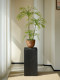 Nantian Bamboo Artificial Green Plant with a High-End Feel, New Song-Style Tea Room Decoration Bamboo, Tea Room Entrance Ornament, Bonsai Ceramic