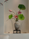 Simulated Lotus Flowers with a High-End, Realistic Feel, New Chinese-Style Decorative Pieces for Entrance, Tea Room, and Dining Table, Artificial Flower Arrangements with Sino-Eastern Aesthetics
