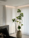 Haohongjingpin Duckbill Tree Artificial Green Plant Indoor Bionic Potted Plant High-End Light Luxury Living Room Large Floor-Standing Fake Plant