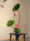 Lotus Artificial Bonsai, High-End and Realistic, Suitable for Tea Rooms, Dining Tables, and Entryways, Small Potted Plant, Fake Song Dynasty Aesthetic Decorative Ornament