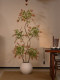 High-End Colorful Nandina Large Floor-Standing Artificial Green Plant for Indoor Living Room, Dining Room, Tea Room, Faux Tree Landscaping, Vintage Style
