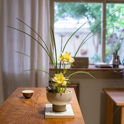 Haohong Jingpin Orchid Artificial Flower, High-End and Realistic, Mid-Century Style, Decorative Piece for Entryway, Dining Table, and Tv Cabinet