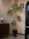 Peacock Wood Fortune Tree Artificial Green Plant Decoration for Living and Dining Room, Large Fake Floor-Standing Potted Plant, High-End Vintage Atmosphere