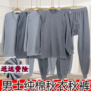 Mùa xuân và mùa thu trung niên cotton mùa thu quần dài phù hợp với quần lót cao cổ cotton nhiệt cộng với phân bón để tăng áo len cotton