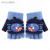 HM70119 US Team Wool Glove