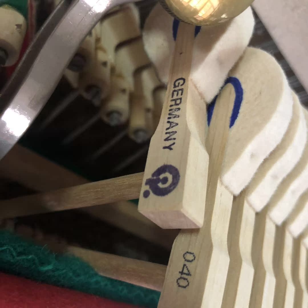 Đức nhập khẩu đàn piano Wilh steinberg William Stanburg Steinberg IQ24 vương miện - dương cầm yamaha ydp