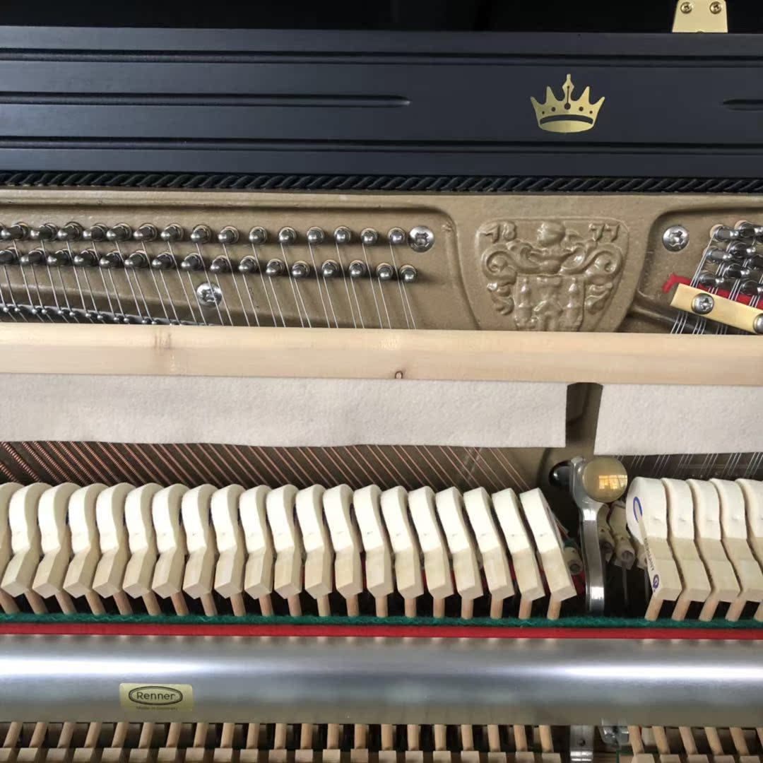 Đức nhập khẩu đàn piano Wilh steinberg William Stanburg Steinberg IQ24 vương miện - dương cầm yamaha ydp