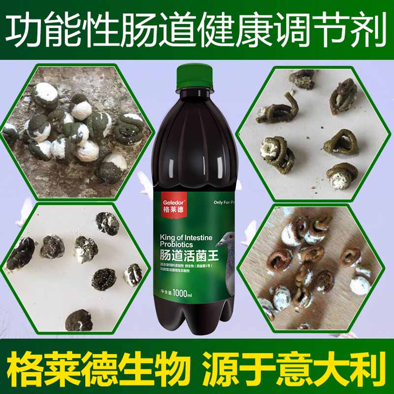 Chim bồ câu Glyde Thuốc chim bồ câu Daquan sử dụng vi khuẩn sống ruột vua điều hòa nước xanh xinxin chim bồ câu cung cấp sức khỏe cho vẹt chim vi khuẩn sống - Chim & Chăm sóc chim Supplies lồng chim sáo