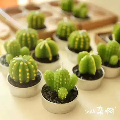 zaa Miscellaneous cactus succulents Mini small candles zakka groceries home furnishings smokeless candles