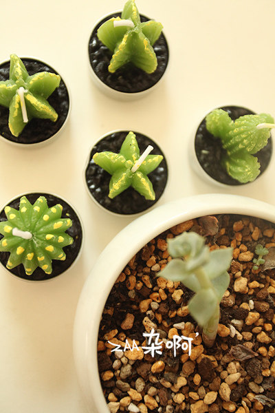 Bougie - Ref 2487986 Image 18