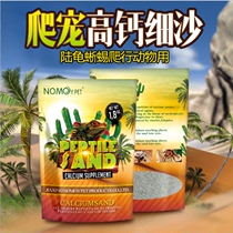 Climbing sand turtle lizard spider hedgehog guarding palace pets pet sand multicolors