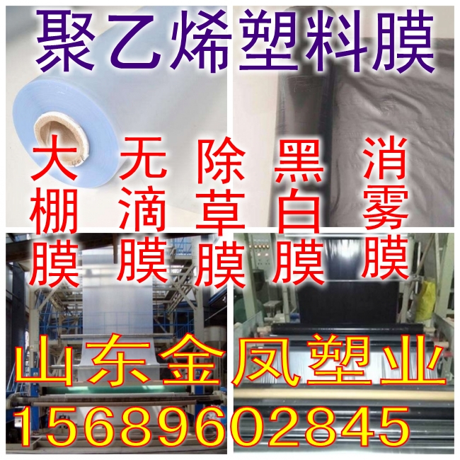 Import No Drop Film Thickening Transparent Plastic Film Greenhouse Film Vegetable Insulation Shed Film Breeding Black-and-white Film-Taobao