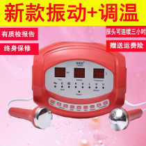 Vibration massage ultrasonic beauty instrument home Import Export detoxification facial facial lead Mercury instrument beauty salon