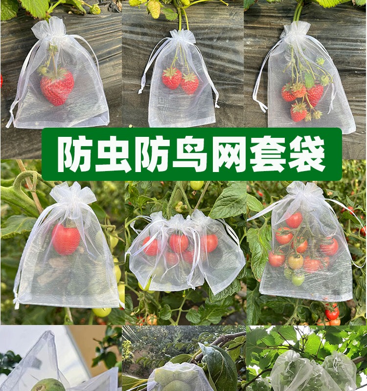 Fruit Net Bags for Insect and Bird Protection, Strawberry Bags, Breathable Grape Bags, Fig and Guava Bags