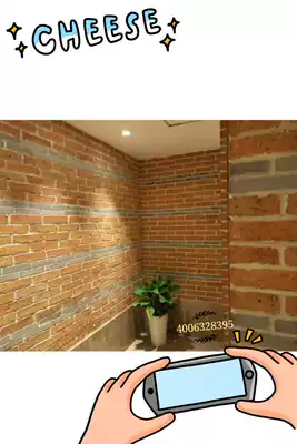 New red brick slice red brick outer skin antique brick cultural brick style ancient brick Yangming brand exterior wall open brick