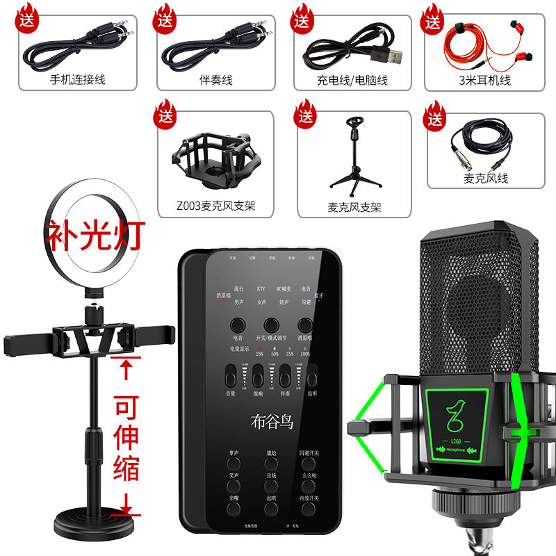 Bugu Bird E6 New Shivering Voice Fast Hand Outdoor K Song Anchor Live With Stock Equipment Flat Sound Card Suit