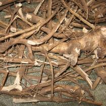 Xiaoxinganling wild Acanthopanax root Northeastern Acanthopanax root (dried) fake one pays ten 250g 3 servings