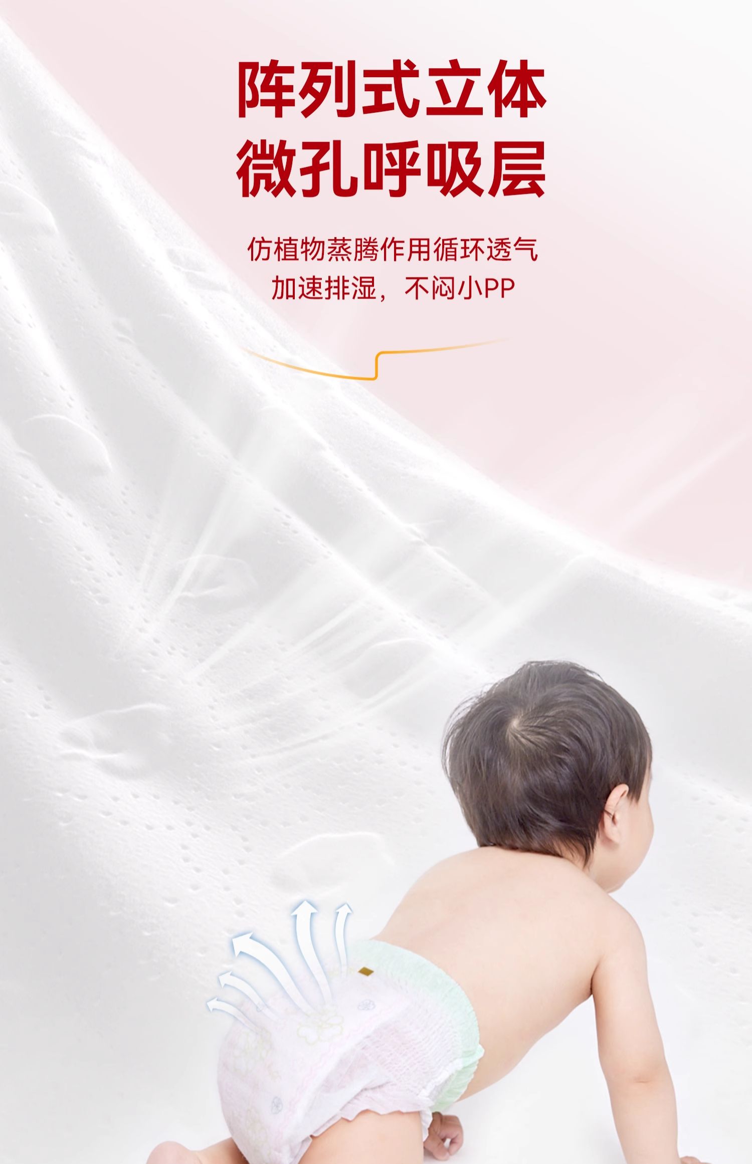 O1CN01MsJ75Y2AceGmPPQSc_!!839648224.jpg