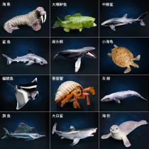 Childrens simulation of Marine Biology animal model toy lobster turtle devil fish beluga octopus tiger shark ornishes