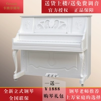 Nhà mới piano thẳng đứng trẻ em mới bắt đầu nhà nhà canar 125 piano 88 phím Đức thủ công - dương cầm đàn piano điện giá rẻ