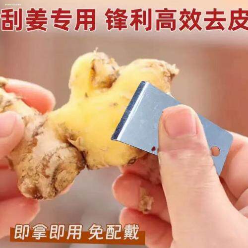 2个不锈钢厨房工具刨姜器迷你家用刮姜皮去皮器芋头刮皮器