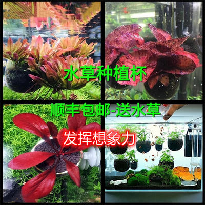 Fish tank, water plant cup, grass VAT, landscape pot, glass planting, planting cup, grass VAT decoration, free shipping by SF Express