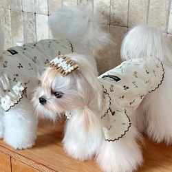 Pet Dog ins Han Feng Princess Style Pajamas Puppy Puppy Dress Base Shirt Heattech Clothes Fall and winter