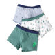 Hengyuanxiang children's underwear boys' pure cotton boxer briefs boys' middle-aged children's boys' youth shorts spring and summer