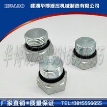 Factory supply stainless steel external hexagonal oil plug plug can be customized