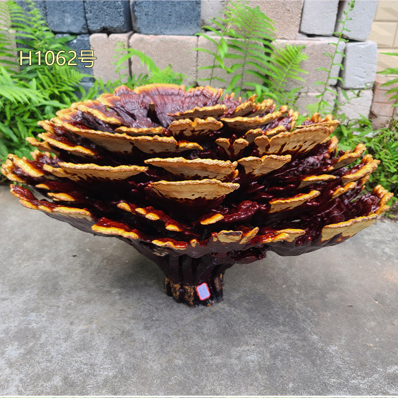 家里缺个「仙气」?70-80cm特大灵芝盆栽,风水摆件新宠儿!-整枝灵芝-淘宝好物网