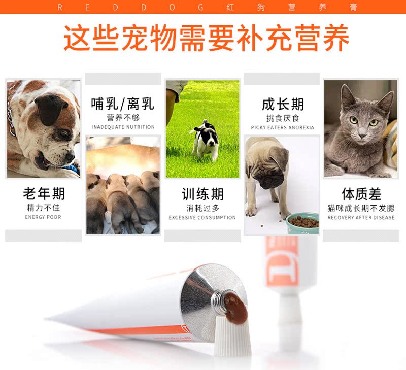 Red dog dinh dưỡng chó con mèo mang thai mèo teddy vàng chó tha mồi sữa cho mèo con