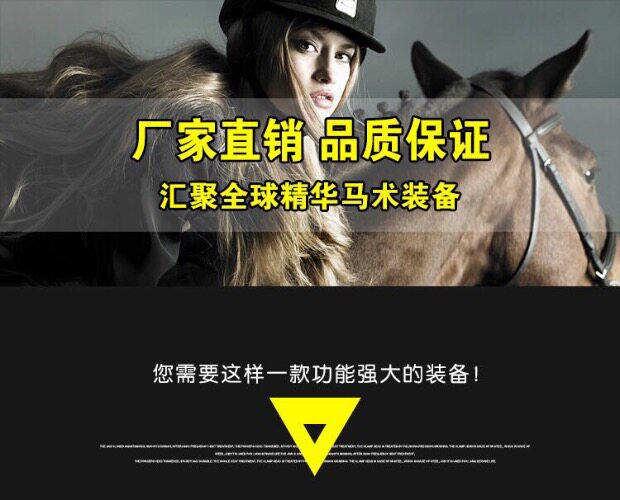 Article sports equestres - Ref 1380509 Image 3