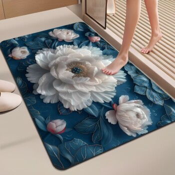 Diatom mud water-absorbing quick-drying non-slip floor mat