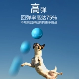 В 11 -летнем магазине, 20 цветах собачьего мяча, собачья мяч сплошной игрушка ночной шар для собак, зубы, скучный, душной артефакт, маленький большой эластичный свет.