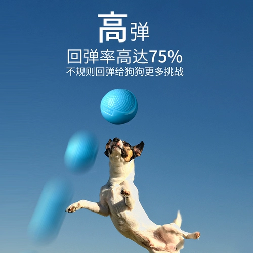 В 11 -летнем магазине, 20 цветах собачьего мяча, собачья мяч сплошной игрушка ночной шар для собак, зубы, скучный, душной артефакт, маленький большой эластичный свет.