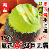 Imported Mexican avocado Big Mac 10 pieces fresh fruit baby avocado first level ripe ready to eat