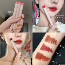 FLORTTE Floria LIPSTICK Pen Lipstick Matte Matt Rotten Tomato Plum color hummus EAT earth ORANGE BROWN