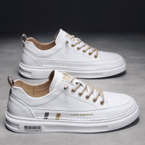 Tide Cards Mens Board Shoes Summer 2021 Sloth People Fashion Casual Shoes Trendy Breathable Little White Shoes Non-slip Sports Shoes