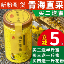 Fresh Qinghai rape pollen pure natural unbroken edible bee pollen prostate 500g