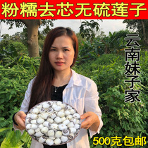 Hunan specialty Xiangtan lotus seed dermabrasion core no sulfur dry goods 500g Xianglian big white lotus rice lily white fungus