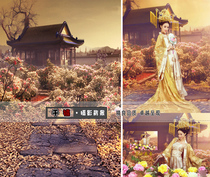 Photo studio plate costume photo background warbler Yan dance queen Photo theme background cloth ancient style