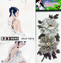 Plate Womens Square Photo Theme Tattoo Stickers Painted Decals Photographic Decals Photo Stickers Dyeing Paintings