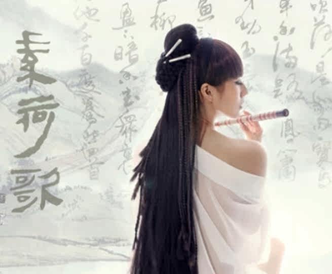 Extension cheveux - Chignon - Ref 239825 Image 10