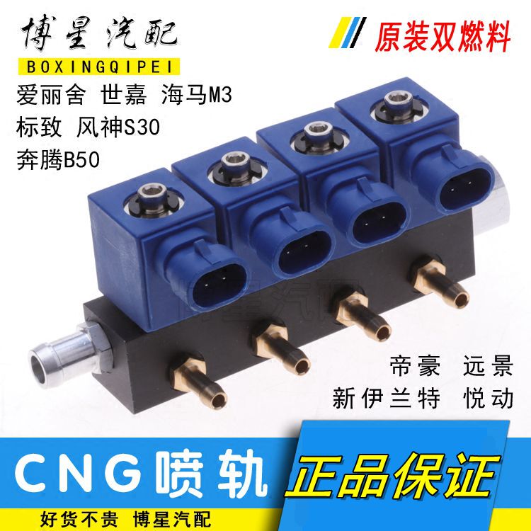 Elysee, Sega, Peugeot, Bestune, Fengshen, Emgrand, Vision, Elantra, Yuedong Cng Gas Omvl Injector Rail Nozzle