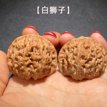 Play with walnuts Play with wild universal white lion Small size live studio mini hand twist a pair of lion heads